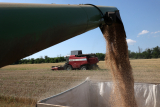 Brüsszel továbbra sem korlátozza az ukrán gabonabehozatalt